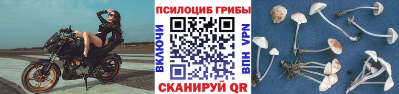 Псилоцибиновые грибы MAGIC MUSHROOMS Томилино
